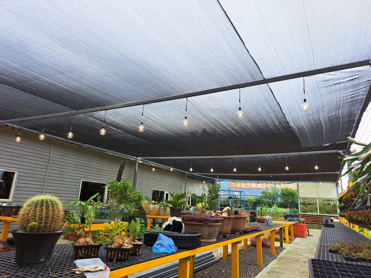 展榮花藝燈光布置